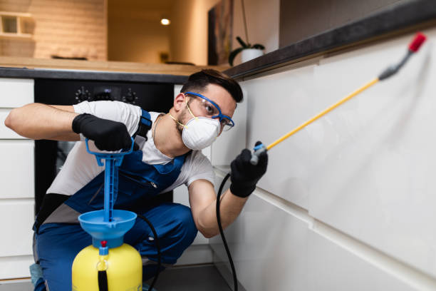 Reliable Deans, NJ Pest Control Solutions