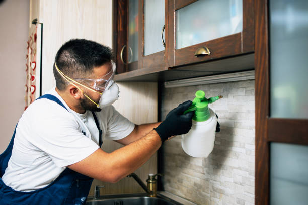 Pest Control for Restaurants in Deans, NJ