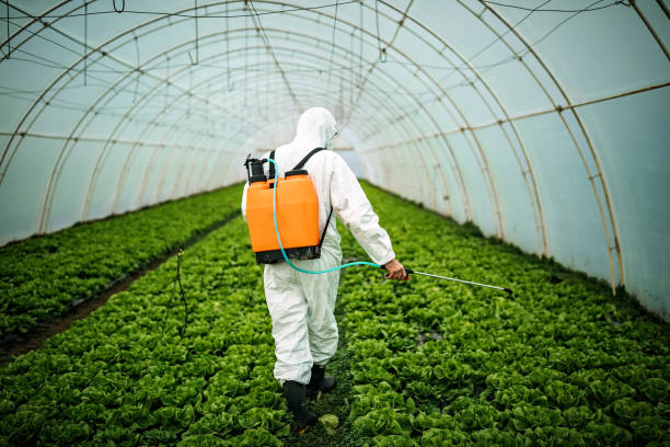 Best Commercial Pest Control Services  in Deans, NJ