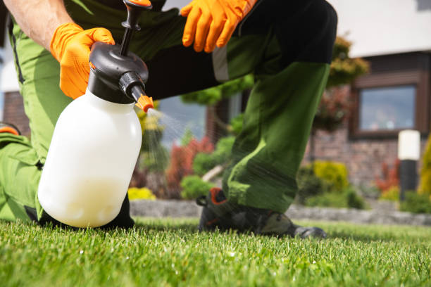 Best Pest Removal Services  in Deans, NJ