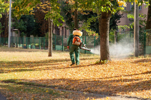Pest Prevention Services in Deans, NJ