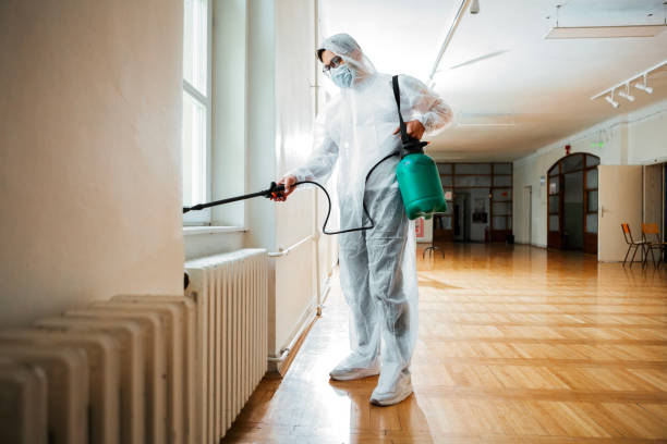 Best Termite Control Services  in Deans, NJ