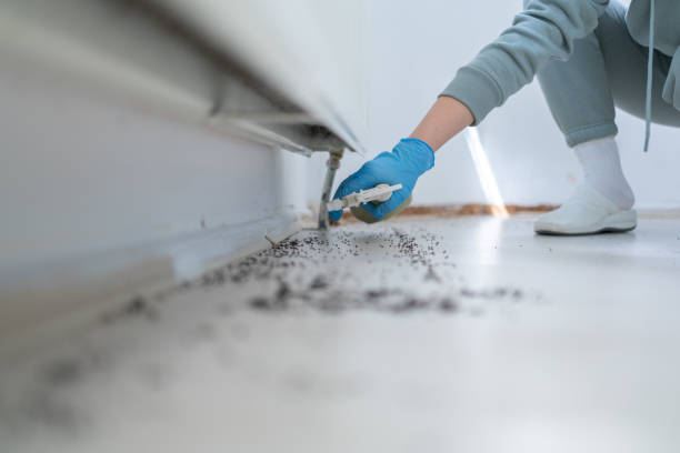 Best Bed Bug Extermination  in Deans, NJ